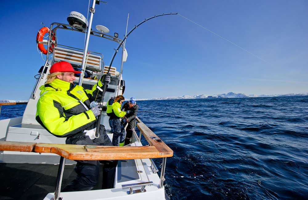 ARCTIC SEA FISHING